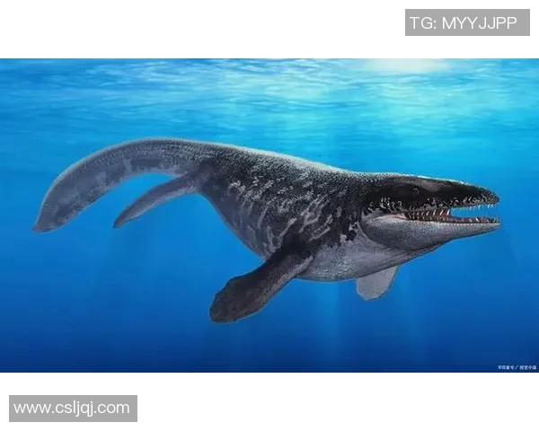 喷射机与南部鲨鱼的惊险对决谁能在海洋中称霸